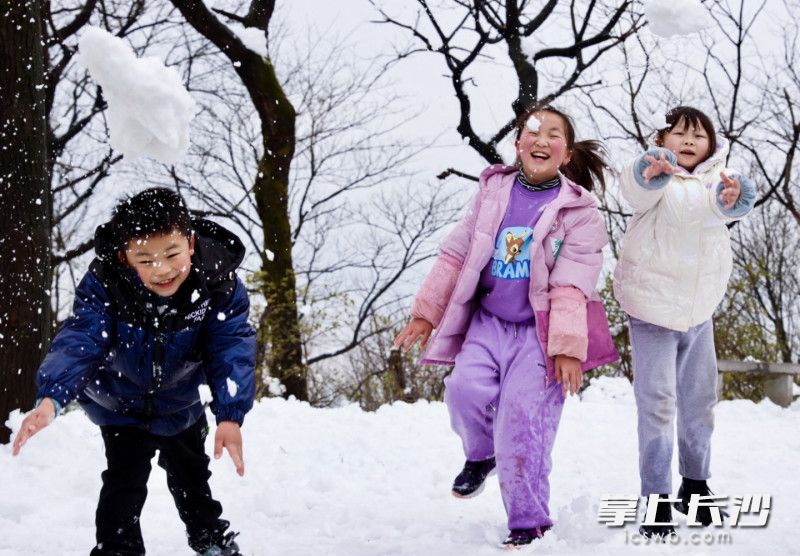 几位小孩正在山顶的积雪中打雪仗。