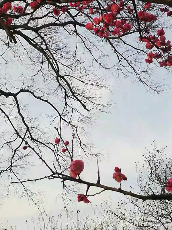 微信图片_20220224093201.jpg