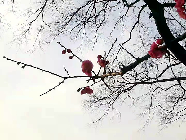 微信图片_20220224093145.jpg