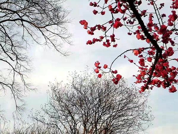 微信图片_20220224093154.jpg