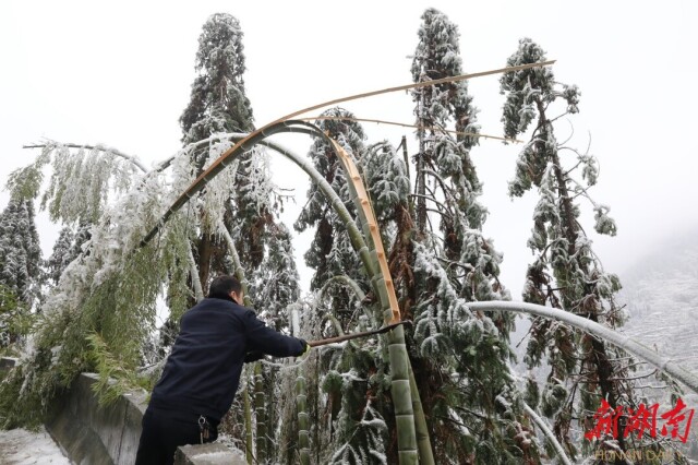 北湖区丨除冰破雪保畅通保供电