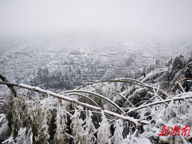 北湖区丨除冰破雪保畅通保供电