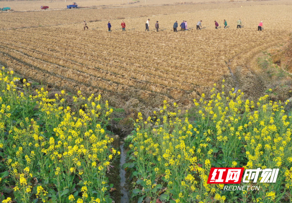 DJI_068001.jpg DJI_068001.jpg