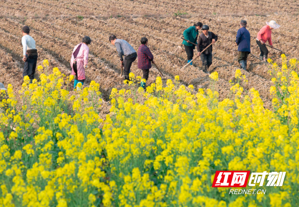 _DSC4468.jpg _DSC4468.jpg