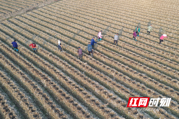 DJI_068201.jpg DJI_068201.jpg