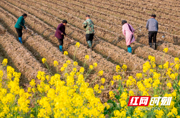 _DSC4460.jpg _DSC4460.jpg