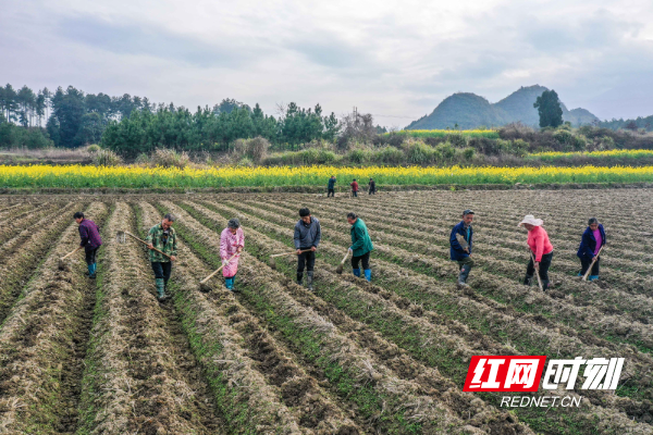 DJI_064901.jpg DJI_064901.jpg