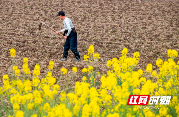 _DSC4441.jpg _DSC4441.jpg