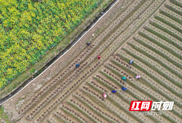 DJI_062201.jpg DJI_062201.jpg