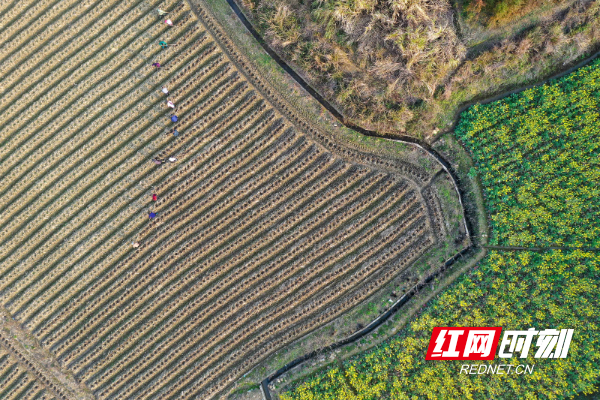 DJI_067801.jpg DJI_067801.jpg