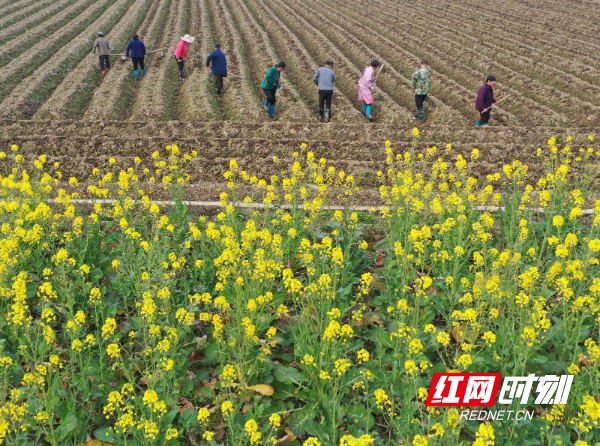 DJI_066201.jpg DJI_066201.jpg