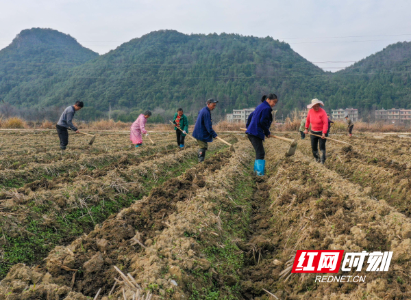 DJI_063601.jpg DJI_063601.jpg