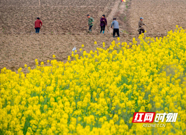 _DSC4438.jpg _DSC4438.jpg