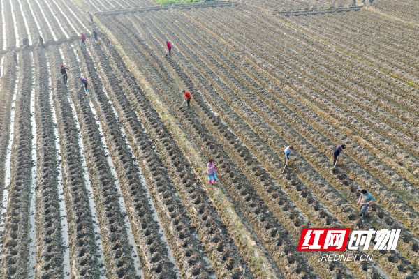 DJI_070001.jpg DJI_070001.jpg