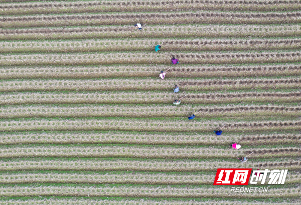 DJI_067501.jpg DJI_067501.jpg