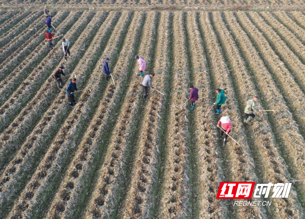 DJI_068501.jpg DJI_068501.jpg