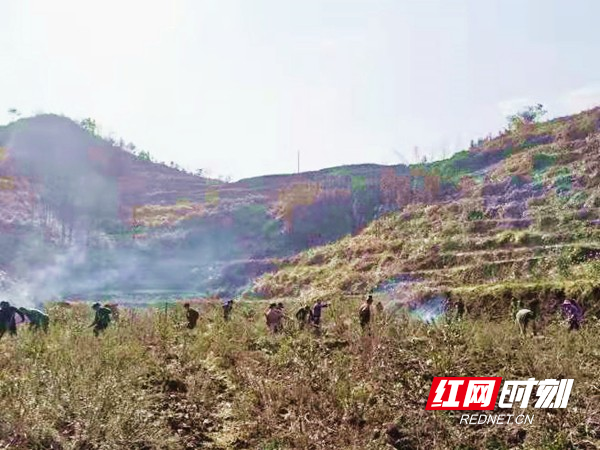 图片26.jpg