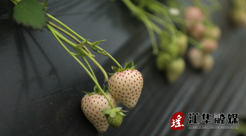 微信截图_20220228115358.png
