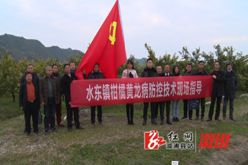 微信图片_20220301151215.png
