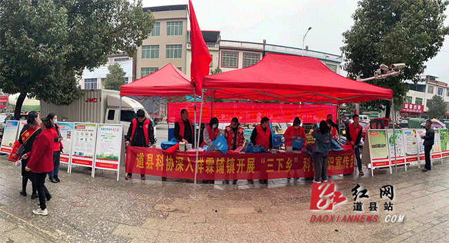 祥霖铺镇科普宣传活动现场.gif