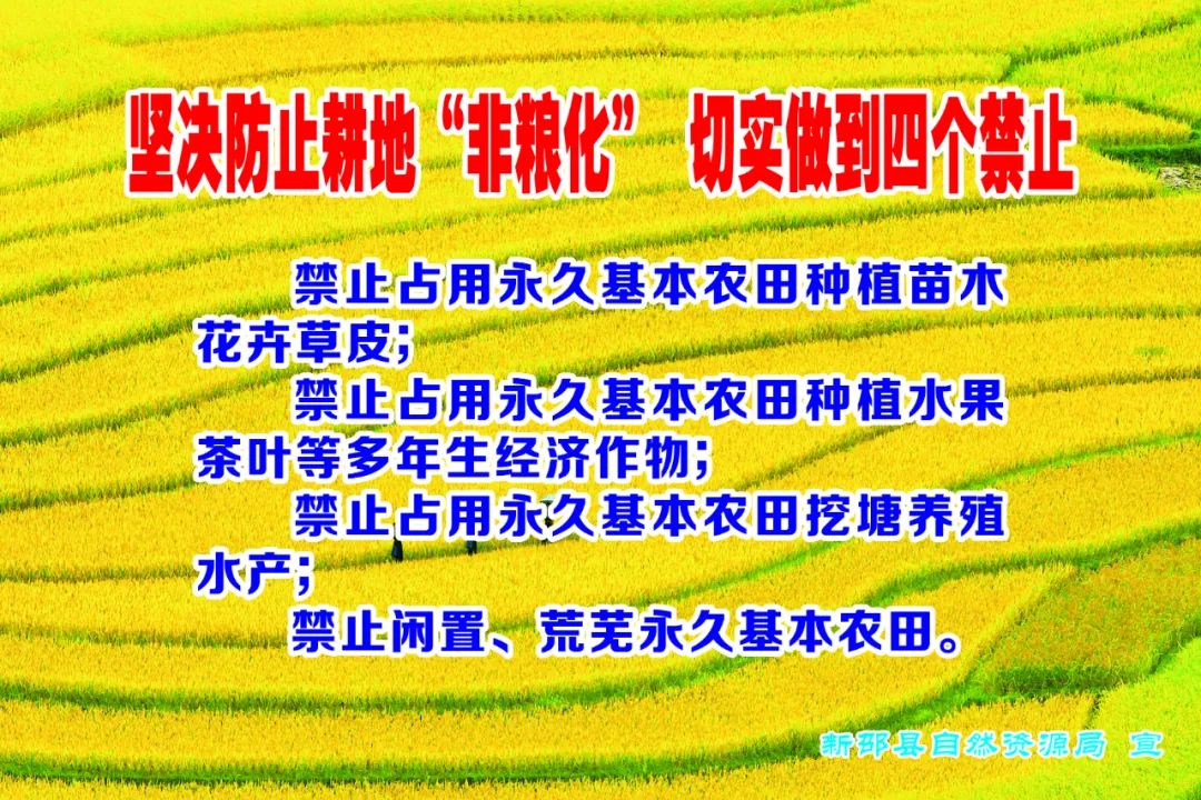 坚决制止耕地“非农化”防止耕地“非粮化”， 新邵出台硬核规定(图3)