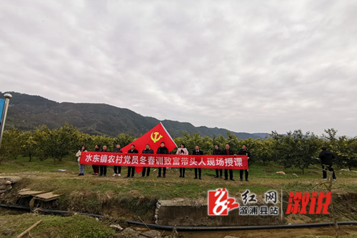 图片3_副本.png