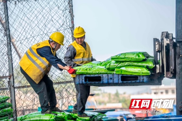 3月2日，在湖南省永州市道州铁路货运站，工人在装运肥料。 (6).jpg