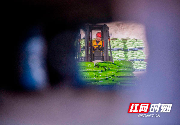  3月2日，在湖南省永州市道州铁路货运站，工人在装运肥料。 (8).jpg