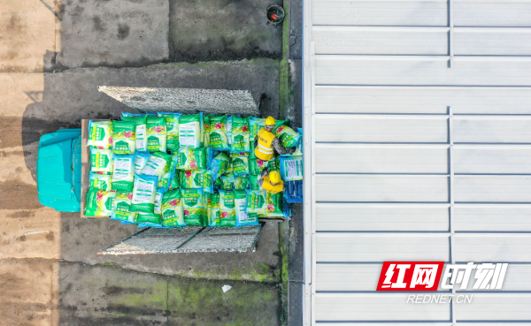  3月2日，在湖南省永州市道州铁路货运站，工人在装运肥料。 (12).jpg