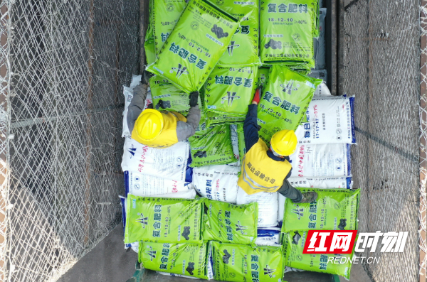  3月2日，在湖南省永州市道州铁路货运站，工人在装运肥料。 (17).jpg