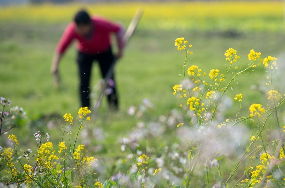 春暖农忙