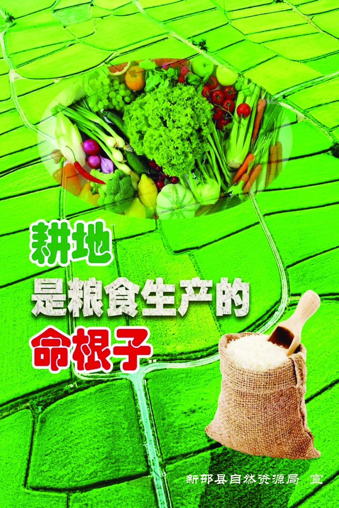 坚决制止耕地“非农化”防止耕地“非粮化”， 新邵出台硬核规定(图1)