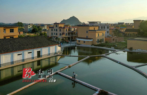 陈熊村庄一角.gif