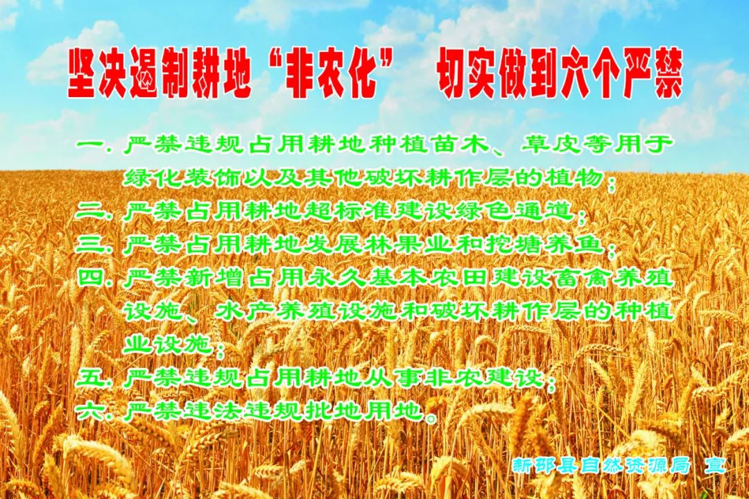 坚决制止耕地“非农化”防止耕地“非粮化”， 新邵出台硬核规定(图2)