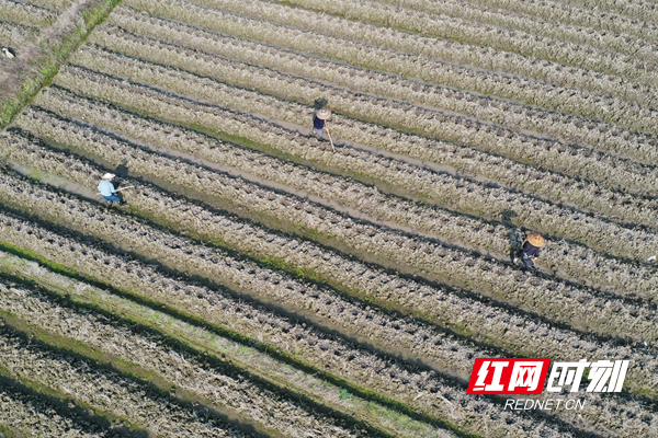 微信图片_20220301100135_副本.jpg