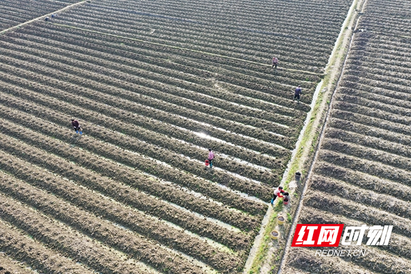 微信图片_20220301100205_副本.jpg