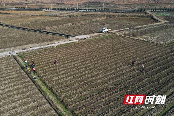 微信图片_20220301100154_副本.jpg