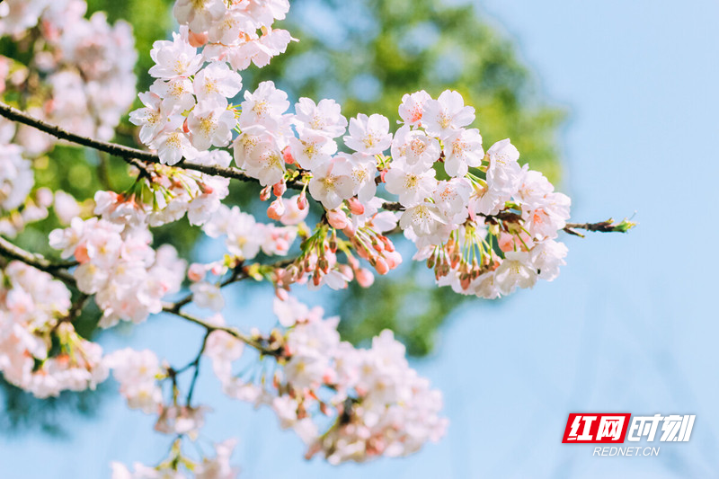 图片4_副本.jpg 图片4_副本.jpg