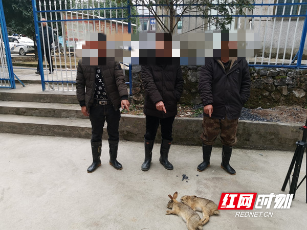 指认照片.jpg 指认照片.jpg