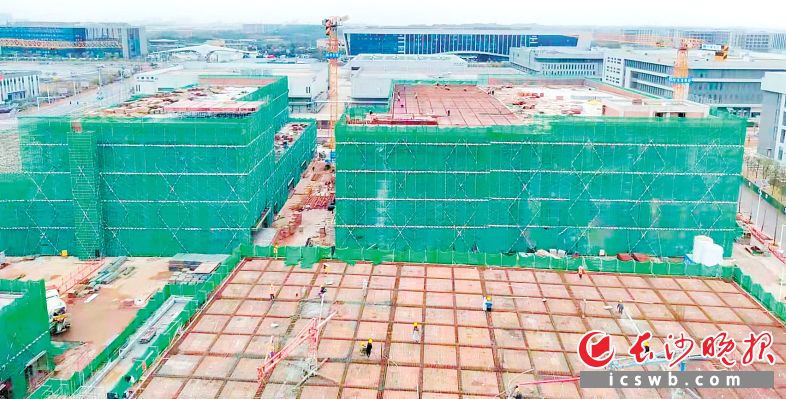 　　长沙黄花综保区A区二期项目建设现场，工人正在施工。　　长沙晚报通讯员 李丹 摄