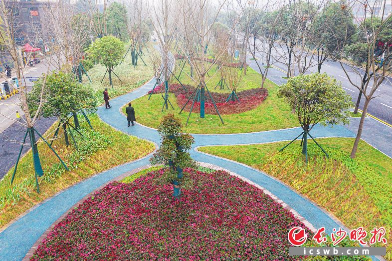　　改造后的街边小花园。均为长沙晚报全媒体记者 洪虹 通讯员 彭毓妍 摄影报道