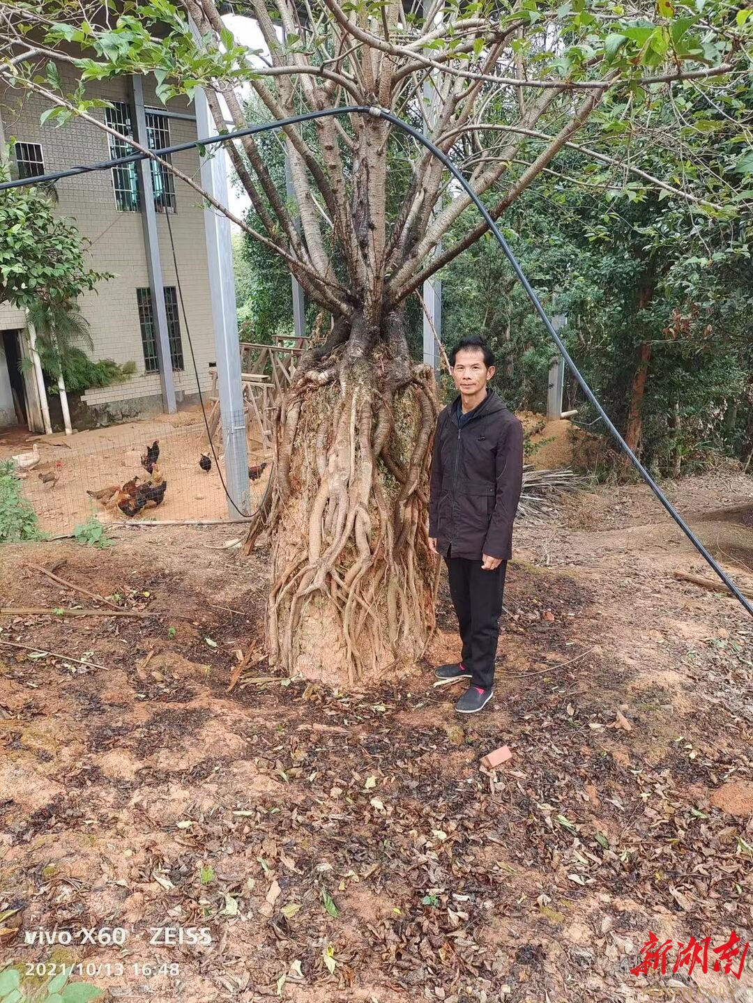 雨花区农民李德桂种苗木  “种”出2项专利