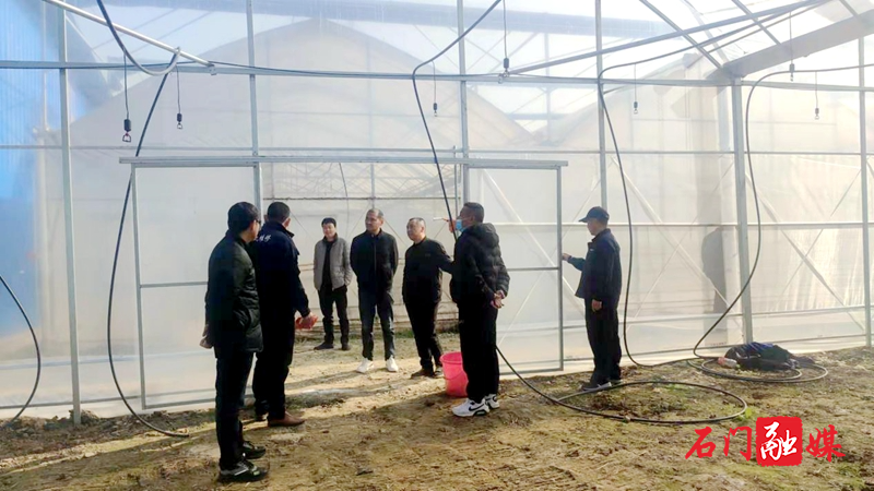 proxy (2).jpg proxy (2).jpg