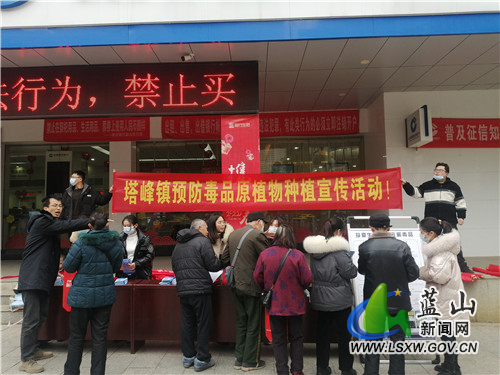 蓝山：禁种铲毒在行动.jpg
