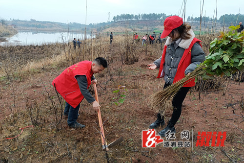 383ebb07c1455298526699ed3e652a2_副本.jpg