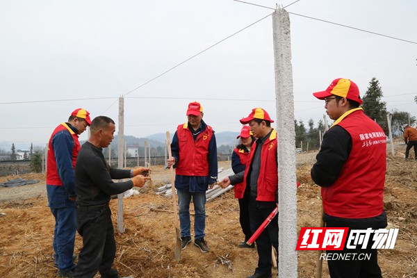 凤凰公司开展学雷锋活动1.jpg