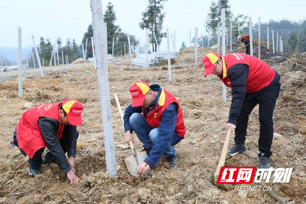 凤凰公司开展学雷锋活动3.jpg