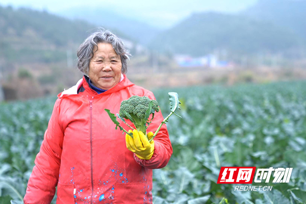 村民举着西兰花脸上笑开了花.jpg