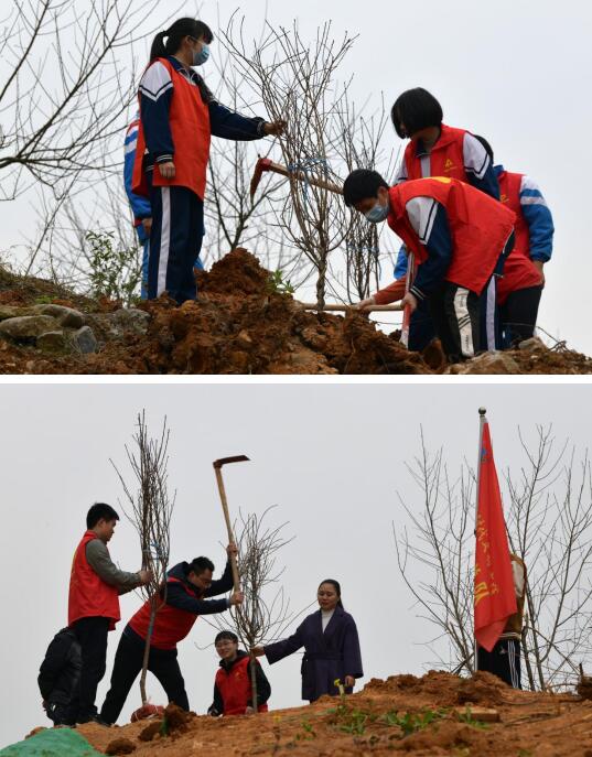 QQ截图20220304112549.jpg