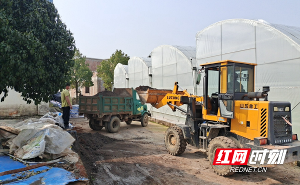 肥2_副本.jpg 肥2_副本.jpg